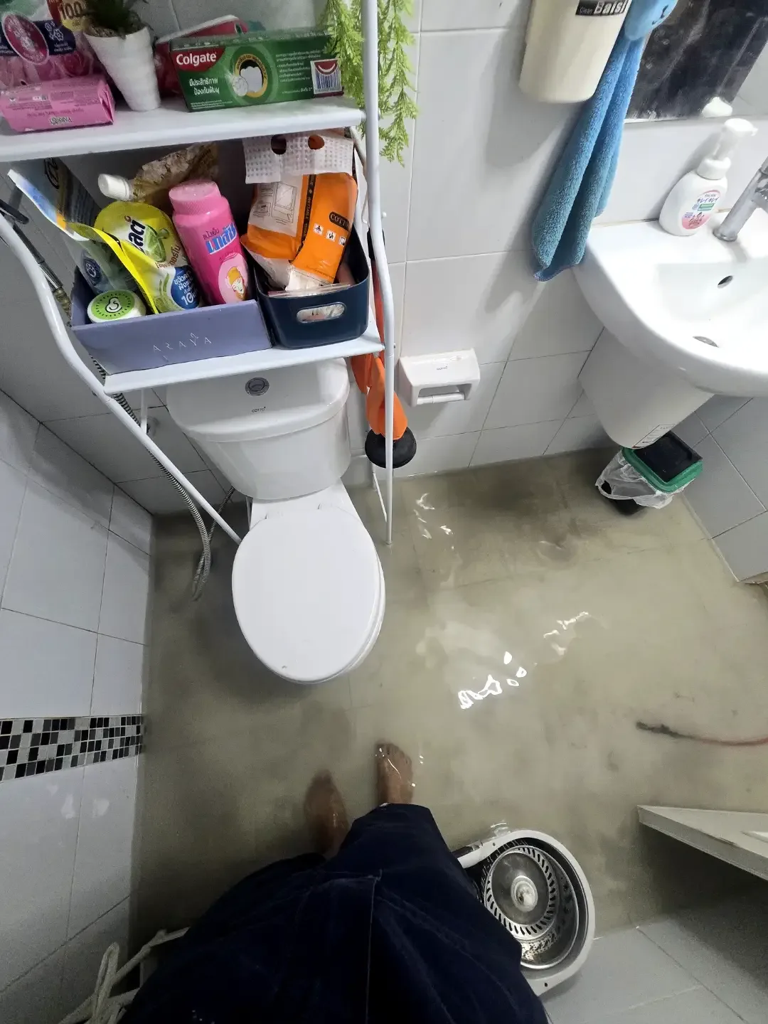 น้ำขังที่พื้นห้องน้ำ (ภาพกว้าง)