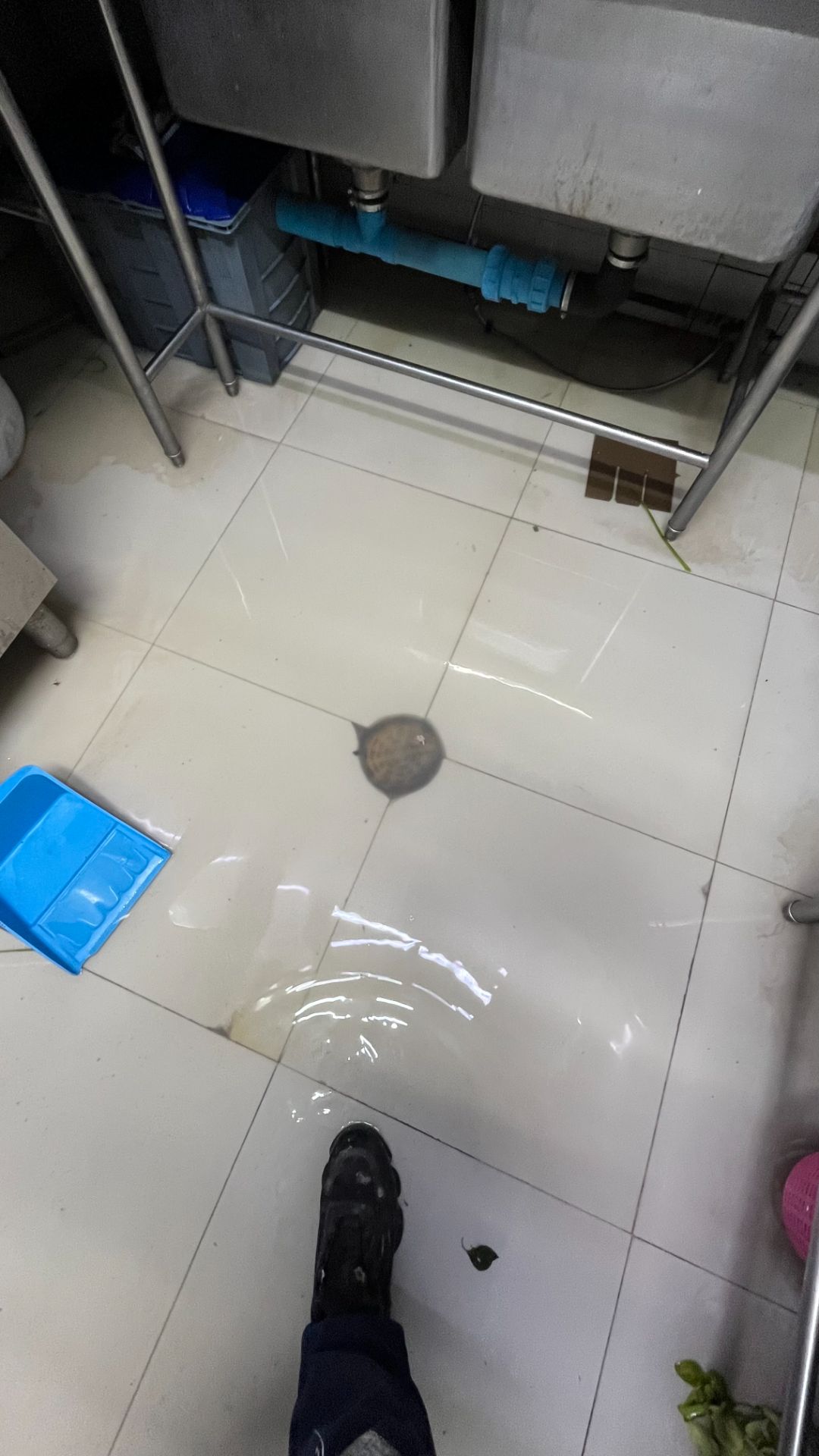 Lotus's — โรงอาหาร — ก่อน